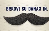 STUDENI, MOVEMBER, MJESEC  ZDRAVLJA U MUŠKARACA