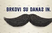 STUDENI, MOVEMBER, MJESEC  ZDRAVLJA U MUŠKARACA