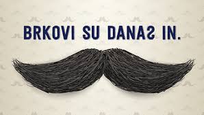 STUDENI, MOVEMBER, MJESEC  ZDRAVLJA U MUŠKARACA